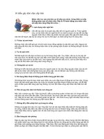 Tài liệu 10 điều gây khó chịu cấp trên ppt