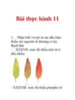 Tài liệu Bài thực hành 11 pptx