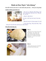 Tài liệu Bánh mì Đan Mạch 