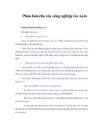 Tài liệu Phân bón cho cây công nghiệp lâu năm docx