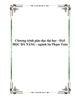 Tài liệu Chương trình giáo dục đại học - ĐẠI HỌC ĐÀ NẴNG - ngành Sư Phạm Toán docx