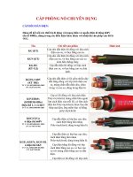 Tài liệu CÁP PHÒNG NỔ CHUYÊN DỤNG ppt