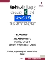 Tài liệu The Modernization of the Hungarian Banking System (1989-2000). Banking Card Market & its Fraud Characteristics. MONEYGUARD – the World Leading Banking Card Protection Messaging Solution. docx