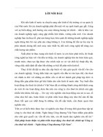 Phát Triển Hoàn thiện Hoạt Động Cho Thuê Tài Chính Tại Công Ty Cho Thuê Tài Chính - Ngân Hàng Công Thương Việt Nam