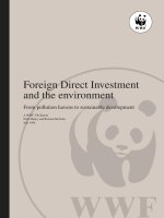 Tài liệu Foreign Direct Investment and the environment doc