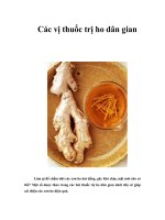 Tài liệu Các vị thuốc trị ho dân gian ppt