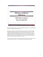 Tài liệu Malicious Software (Malware) doc