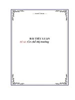 Tài liệu Đề tài 