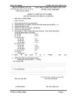 Luận văn Thiết kế lập báo cáo nghiên cứu khả thi tuyến đường qua hai điểm L-T