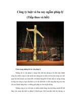 Tài liệu Công ty luật và ba suy ngẫm pháp lý (Tiếp theo và hết) ppt