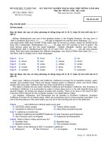 Tài liệu Đề thi chính thức kỳ thi tốt nghiệp THPT 2010 môn Tiếng anh - Hệ 3 năm (Mã đề thi 481) pdf