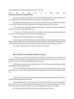 Tài liệu Thủ tục thành lập chi nhánh ngân hàng thương mại tại Việt Nam pdf