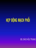 Tài liệu Bài giảng Hẹp động mạch phổi docx