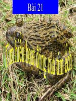 Tài liệu Thực hành tìm hiểu hoạt động docx