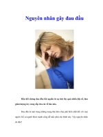 Tài liệu Nguyên nhân gây đau đầu pdf