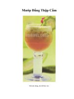 Tài liệu Mướp Đắng Thập Cẩm ppt