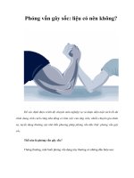 Tài liệu Phỏng vấn gây sốc: liệu có nên không? ppt