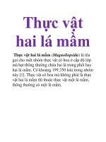 Tài liệu Thực vật hai lá mầm pdf