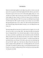 Phân tích tình hình chu chuyển vốn trong tập đoàn unilever 