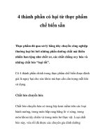 Tài liệu 4 thành phần có hại từ thực phẩm chế biến sẵn docx