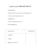 Tài liệu Luyện từ và câu: TỔNG KẾT VỐN TỪ (3) ppt