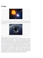 Lỗ đen lược sử