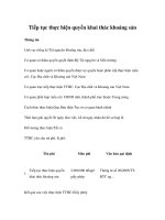 Tài liệu Tiếp tục thực hiện quyền khai thác khoáng sản ppt