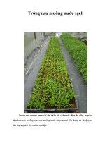 Tài liệu Trồng rau muống nước sạch doc