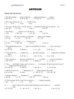 Tài liệu ARTICLE EXERCISES pptx
