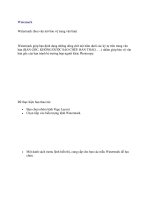 Tài liệu Watermark (hoa văn mờ bảo vệ trang văn bản) pdf