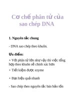 Tài liệu Cơ chế phân tử của sao chép DNA pdf