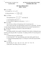 Tài liệu ĐỀ THI TUYỂN SINH LỚP 10 MÔN : TOÁN pdf