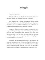 Tài liệu Trồng gấc docx