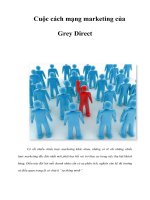 Tài liệu Cuộc cách mạng marketing của Grey Direct docx