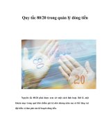 Tài liệu Quy tắc 80/20 trong quản lý dòng tiền pdf