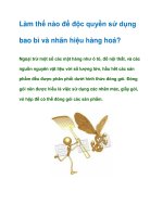 Tài liệu Làm thế nào để độc quyền sử dụng bao bì và nhãn hiệu hàng hoá? pptx