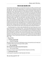 Tài liệu Ipsec và QOS cho MPLS-VPN docx