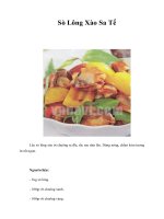 Tài liệu Sò Lông Xào Sa Tế doc