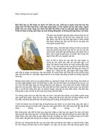 Tài liệu Nhạc trưởng cho mọi người pdf