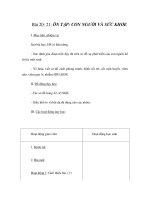 Tài liệu Gíao án 6 - ÔN TẬP: CON NGƯỜI VÀ SỨC KHỎE docx