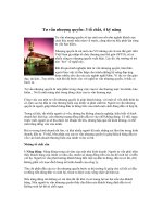 Tài liệu Tư vấn nhượng quyền: 3 tố chất, 4 kỹ năng pdf