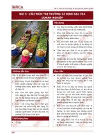 Tài liệu Bài 5: Cấu trúc thị trường và định giá của doanh nghiệp doc