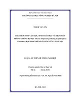 Đặc điểm sinh vật học, sinh thái học và biện pháp phòng chống bọ nẹt thosea obliquistriga hering (lepidoptera eucleidae) hại dong riềng ở hưng yên và hà nội 