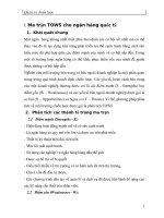 Ma trận TOWS cho ngân hàng quốc tế 