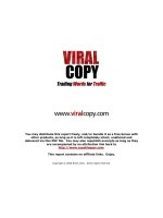 Viral copy - How to trade word for traffic