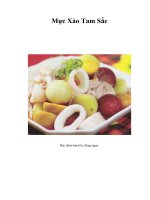 Tài liệu Mực Xào Tam Sắc pdf