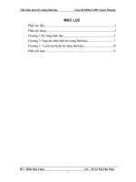 Tiểu luận môn kỹ năng lãnh đạo 