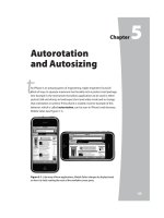 Tài liệu Lập trình iPhone part 5 ppt