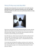 Tài liệu Những lỗ hổng trong hoạt động M&A ppt