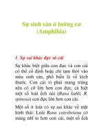 Tài liệu Sự sinh sản ở lưỡng cư (Amphibia) ppt